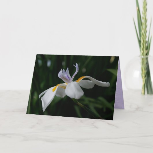 Carte "fairy iris" GREETING CARD (Devant)
