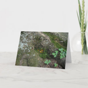 Carte "Fairy was Home"