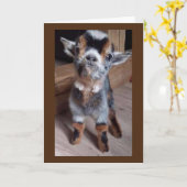 Carte FAIS DE BÉBÉ UNE FAVEUR "AVEZ UN JOLI 30e ANNIVERS (Fleur jaune)