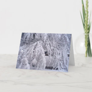 Carte Fais tomber la neige