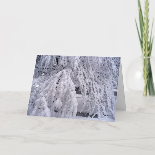 Carte Fais tomber la neige (Devant)