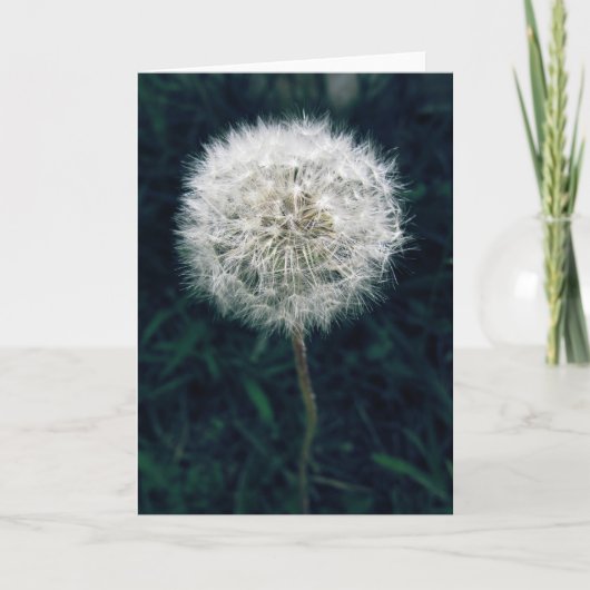 Carte Fais un vœu (Devant)