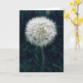 Carte Fais un vœu (Fleur jaune)