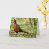 Carte Faisan sauvage (Fleur jaune)