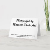 Carte Faisons le déjeuner ! (Dos)