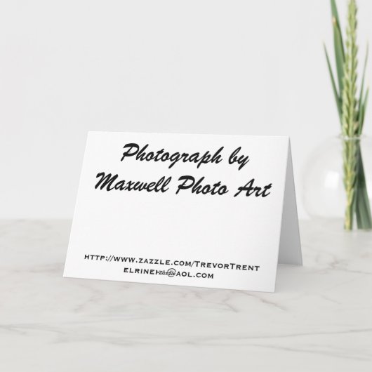 Carte Faisons le déjeuner ! (Dos)