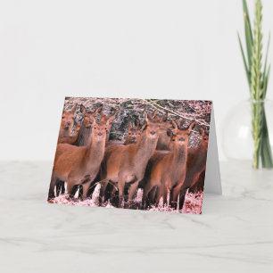 CARTE FAITE SUR COMMANDE DE JOYEUX NOËL AVEC DES