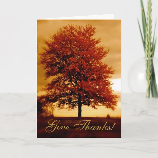 Carte faite sur commande de thanksgiving de (Devant)