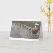 Carte Faites la manière pour des canetons (Fleur jaune)