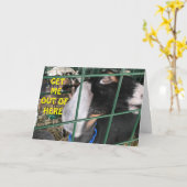 CARTE **FAITES-MOI SORTIR** VOUS VOULEZ DIRE "HEUREUX AN (Fleur jaune)