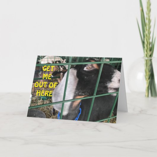 CARTE **FAITES-MOI SORTIR** VOUS VOULEZ DIRE "HEUREUX AN (Devant)