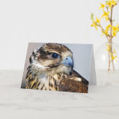 Carte Falcon Fermer dans le profil (Fleur jaune)