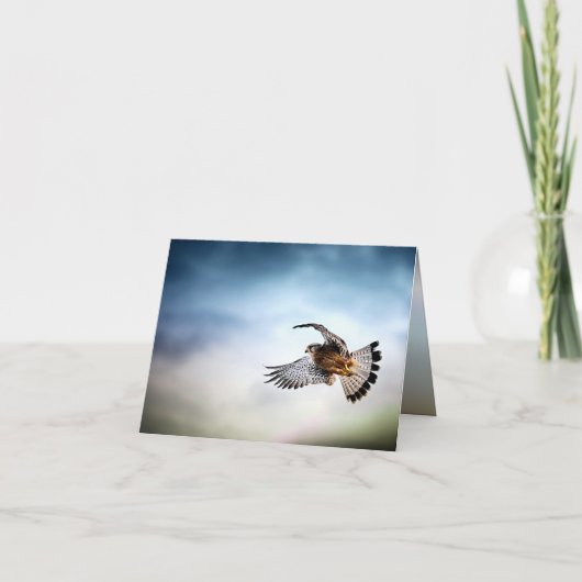 Carte Falcon Soaring in the Sky (Devant)
