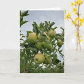 Carte Fall Apple Orchard (Fleur jaune)
