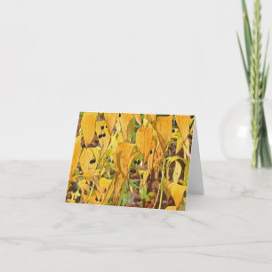 CARTE "FALL FOLIAGE" (MANIP NUMÉRIQUE). PHOTO)