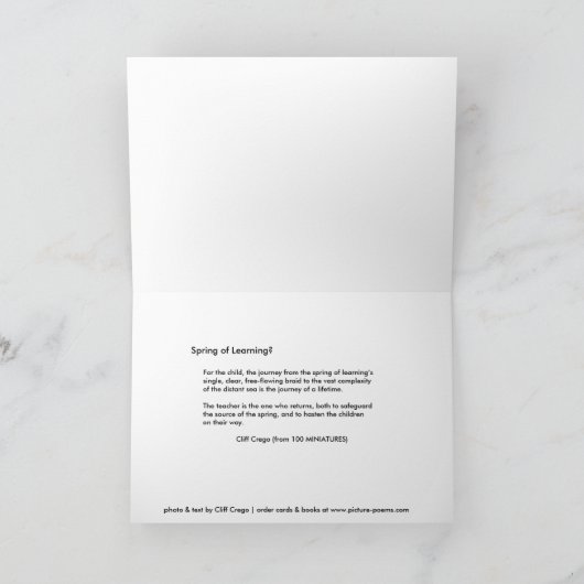 Carte FALL STREAM : Printemps de l'apprentissage (Intérieur)