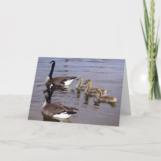 Carte Famille canadienne d'oie (Devant)