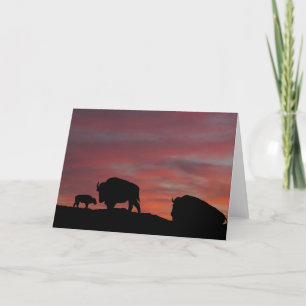 Carte Famille de bison