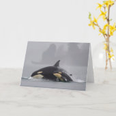 Carte Famille d'orque (Fleur jaune)