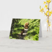 Carte Famille d'ours brun (Fleur jaune)