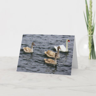 Carte Famille Swan