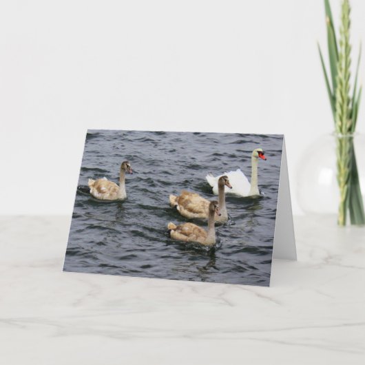 Carte Famille Swan (Devant)