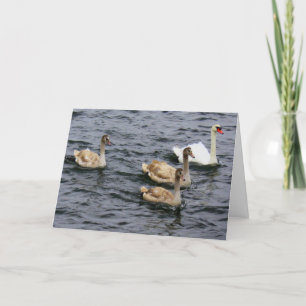 Carte Famille Swan