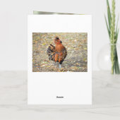 Carte Fancy Rooster Joyeux Humour d'anniversaire (Dos)
