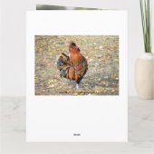 Carte Fancy Rooster Joyeux Humour d'anniversaire GRANDE  (Dos)