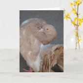 Carte Fantail Pigeon (Fleur jaune)