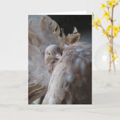 Carte Fantail Pigeon (Fleur jaune)