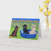 Carte Fantastique Pool Party Labradors (Fleur jaune)