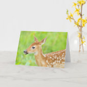 Carte Faon de cerf à queue blanche | Minnesota (Fleur jaune)