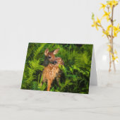 Carte Faon de cerf à queue blanche | Minnesota (Fleur jaune)