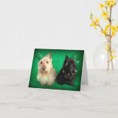 Carte Farfouilles (Fleur jaune)