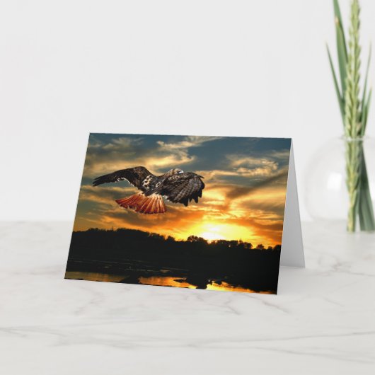 Carte Faucon coupé la queue par rouge au coucher du (Devant)