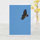 Carte Faucon coupé la queue par rouge montant (Fleur jaune)