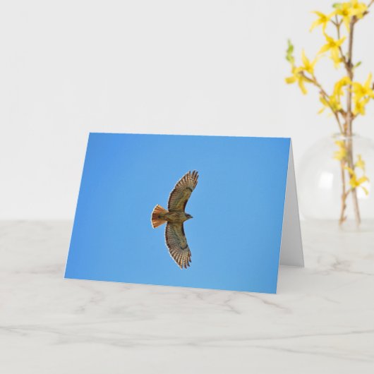 Carte Faucon Rouge-Coupé la queue en vol (Fleur jaune)