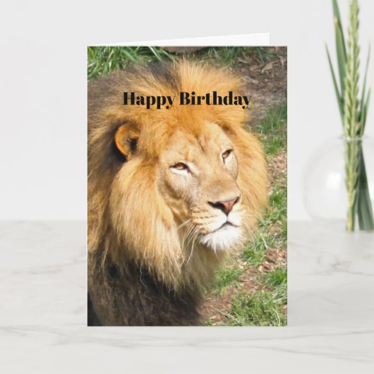 Carte Faune African Lion Face Photo Anniversaire (Devant)