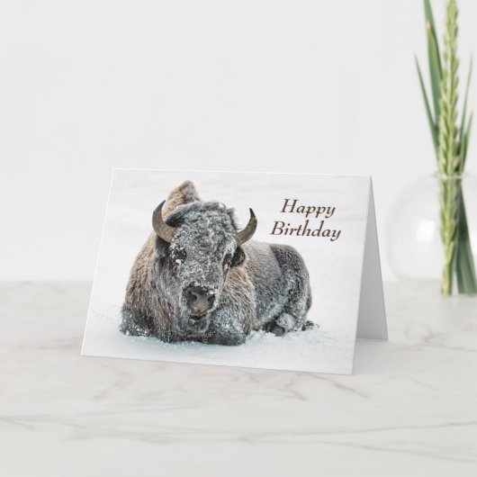 Carte Faune Buffalo Photo Neige Anniversaire (Devant)