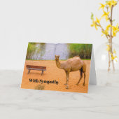 Carte Faune Camel Oasis Photo Sympathie (Fleur jaune)