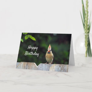 Carte Faune Cardinal Rouge clôture Anniversaire