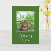 Carte Faune du jour (Fleur jaune)