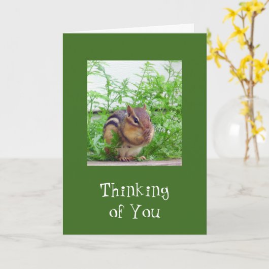 Carte Faune du jour (Fleur jaune)