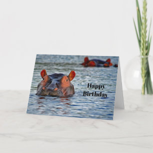 Carte Faune Hippo photo d'eau Anniversaire