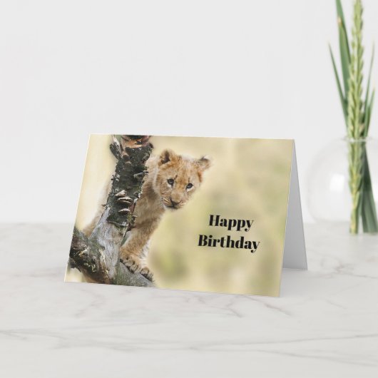 Carte Faune Lion Cub Photo Anniversaire (Devant)