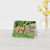 Carte Faune localisée (Fleur jaune)