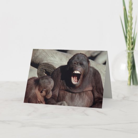 Carte Faune réglée - primats 1 (Devant)