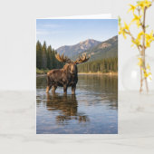 Carte Faune sauvage Rivière Moose Mountain (Fleur jaune)