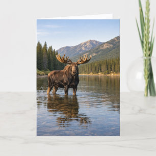 Carte Faune sauvage Rivière Moose Mountain